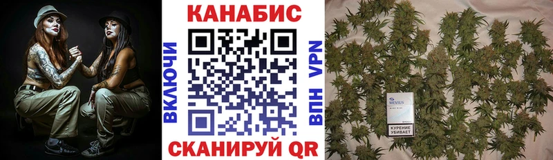 купить наркотики цена  Иваново  Канабис тримм 